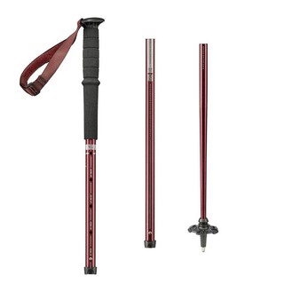 1 Gậy Leo Núi Chuyên Dụng A 200 Decathlon - 8383419