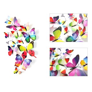 bướm 3D trang trí phòng