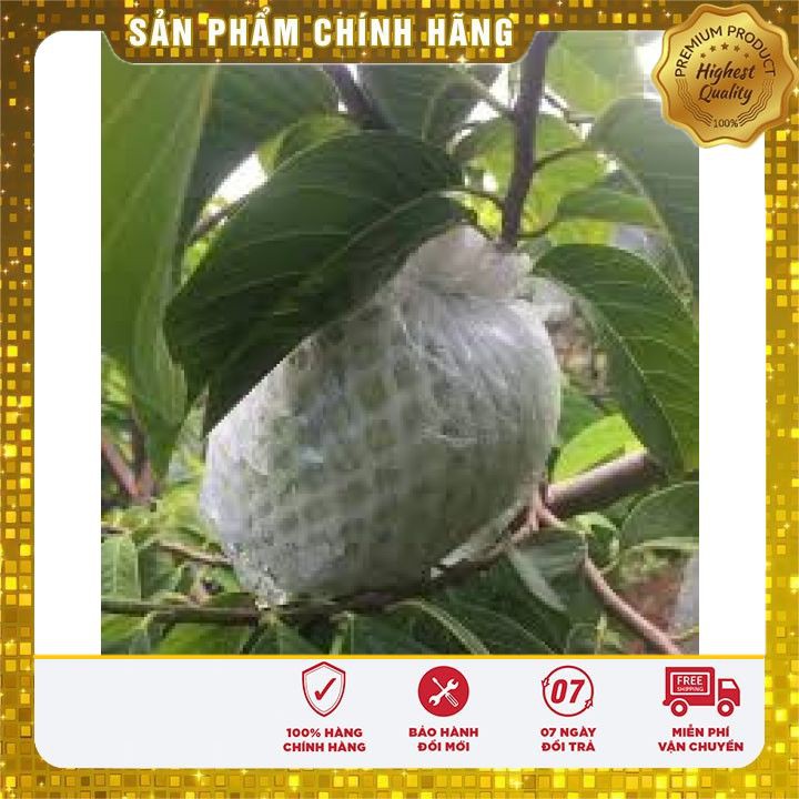 1kg xốp bao ổi sẵn ⚡𝗙𝗥𝗘𝗘𝗦𝗛𝗜𝗣⚡xốp bọc ổi trọn bộ siêu giá rẻ