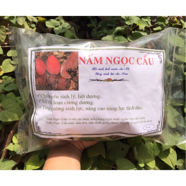 Nấm ngọc cẩu Sơn La (hàng chọn)