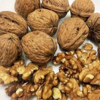 Óc chó vàng mỹ