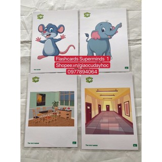 FLASHCARDS  SUPERMINDS 1 - SIZE A5 -2 MẶT -ép Plastics