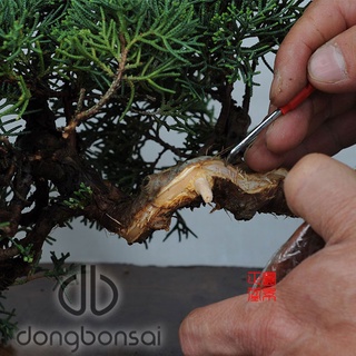Dao móc lũa mini Ryuga, dao làm lũa bonsai thủ công