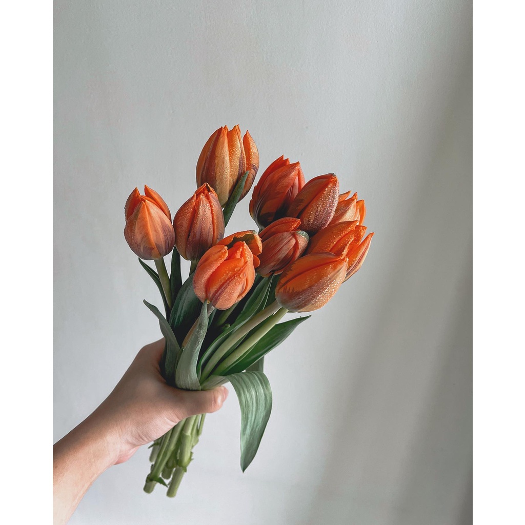 Tulip màu cam | Ship hỏa tốc| Hoa tươi Gi.farm