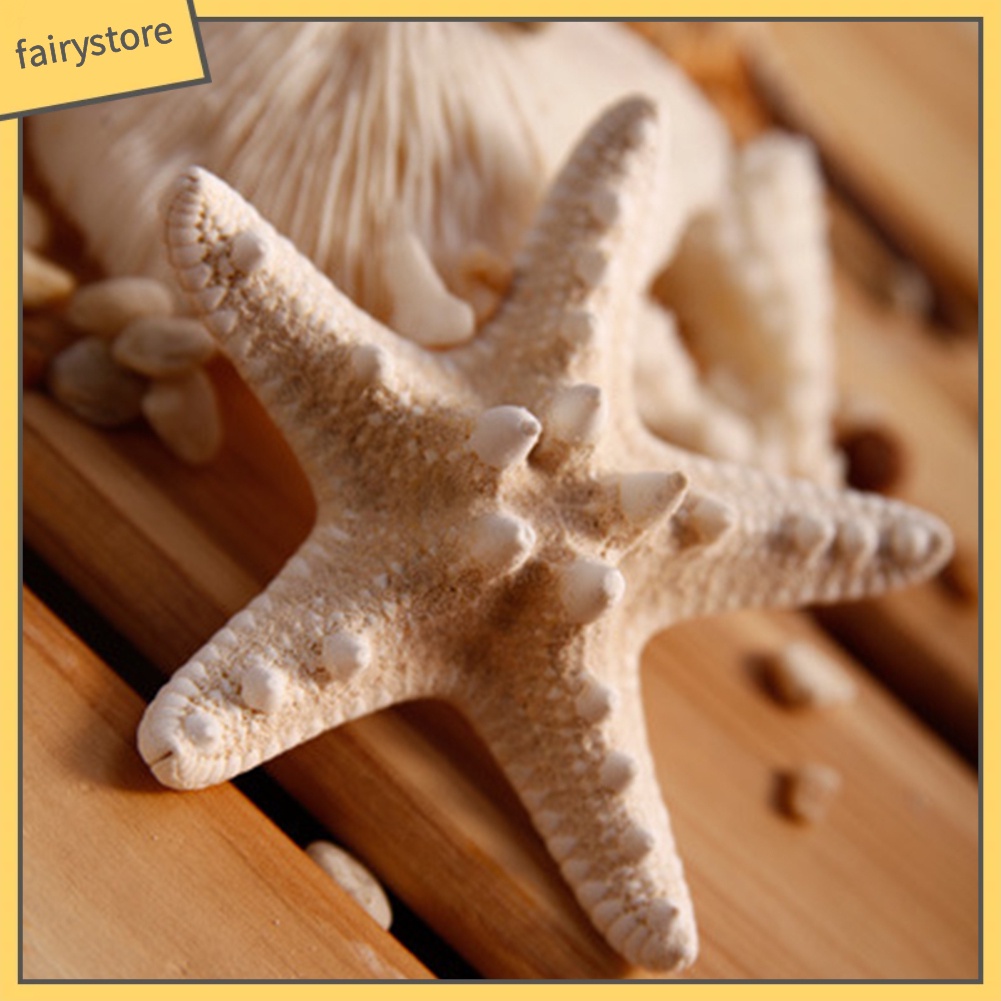 Kẹp Tóc Càng Cua Hình Sao Biển Tự Nhiên Cho Nữ