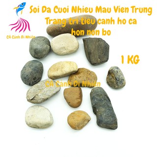 Sỏi đá cuội VÀNG 1KG nhiều màu viên trung trang trí tiểu cảnh hòn non bộ