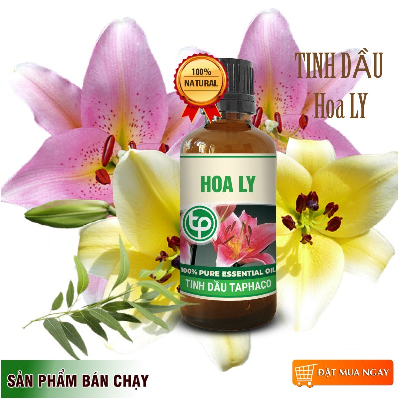 Tinh dầu hoa LiLy nguyên chất Taphaco