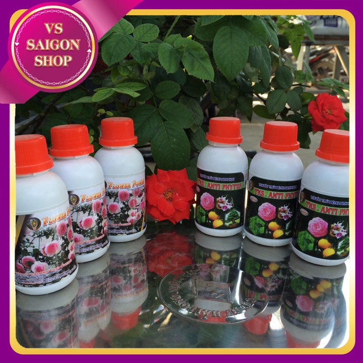 ANTI PHYTOP VÀ FLOWER POWER: Phòng Trừ Nấm Bệnh, Cung Cấp Dinh Dưỡng Cho Hoa Và Cây Cảnh