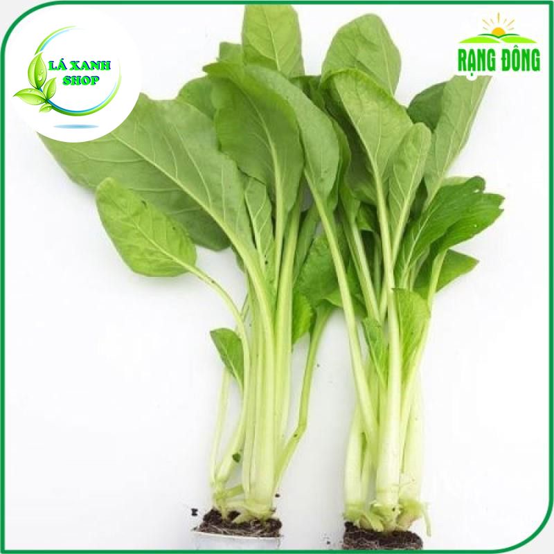Hạt Giống Cải Ngọt Giòn, Cây To, Năng Suất Cao, Dễ Trồng (gói 20 gram) - Hạt giống Rạng Đông