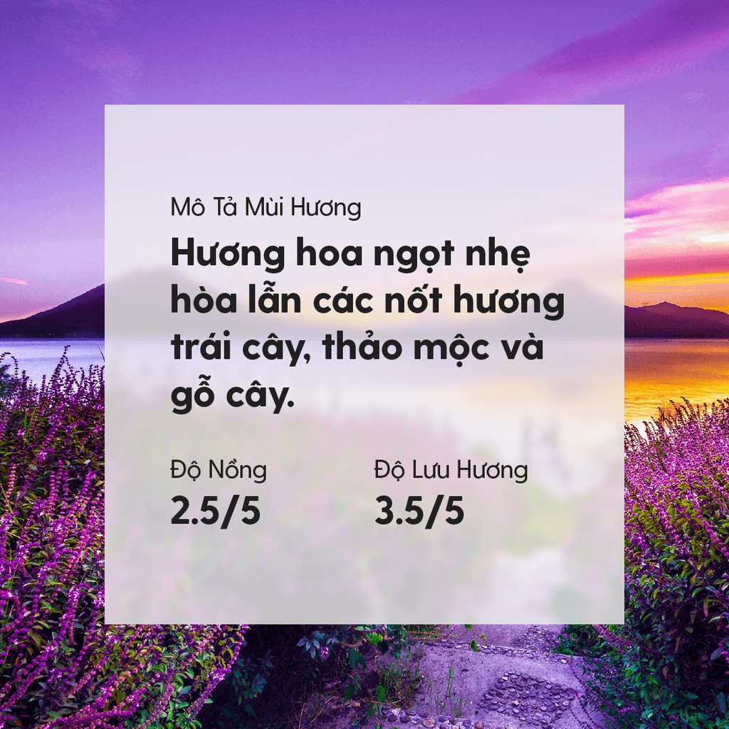 Dầu Massage Body Hoa Oải Hương Lavender 100ml | Dưỡng Da Từ Dầu Hạt Nho, Dầu Olive, Dầu Cám Gạo | Heny Garden