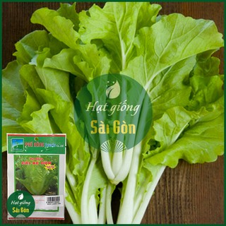 Hạt Giống Cải Bẹ Dún 10gr