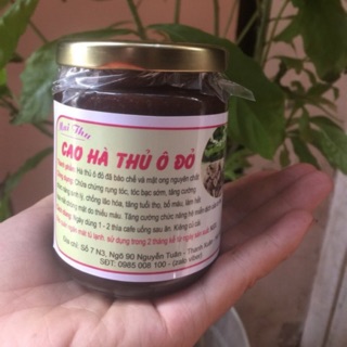 Cao hà thủ ô đỏ nhà làm