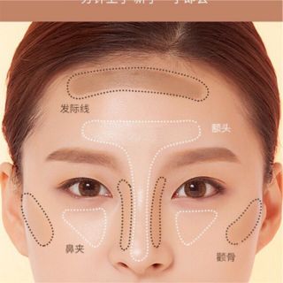 Phấn tạo khối 2 Ô màu Lameila