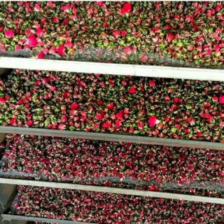 1kg nụ hoa hồng khô nụ hồng