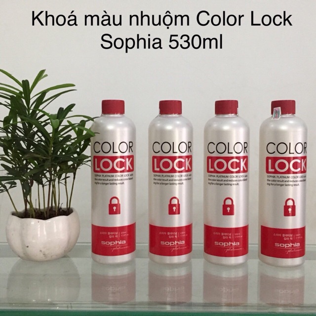 [Chính hãng] [Siêu rẻ] Khoá màu nhuộm lâu phai Color Lock Sophia Hàn Quốc 530ml