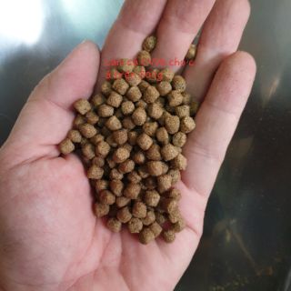 Thức ăn cho cá Lái Thiêu CV06 (Dạng viên nổi 20% Protein)
