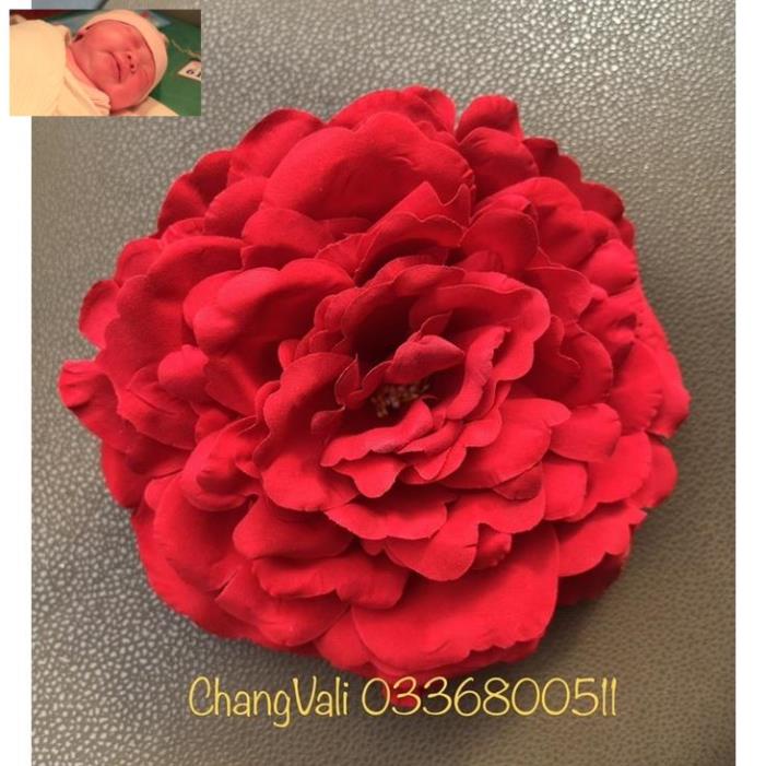 Đầu bông hoa trà MẪU ĐƠN ĐẠI đường kính 16cm,làm oản,trang trí siêu đẹp