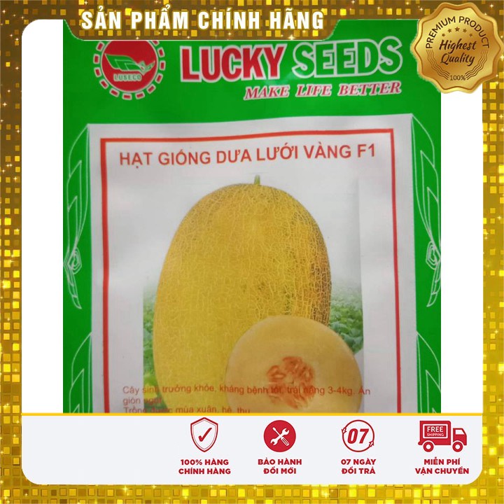 HẠT GIỐNG DƯA LƯỚI VÀNG - 10 HẠT