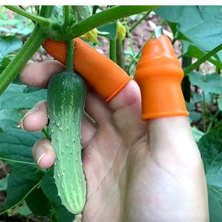 Bộ Móng Nhặt Rau Củ Quả Chống Bẩn Móng Tay, Ngón Cái Bấm Cắt Rau Củ - Nạo Gọt Tiện Lợi - Dumi Shop