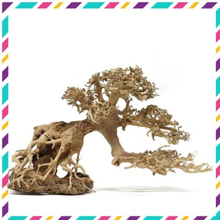 [ Rẻ ] Lũa Bonsai mini cho bể cá thủy sinh 25x20