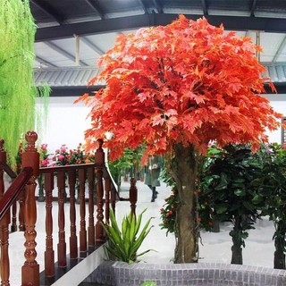Combo 200 cành phong đỏ - Lá phong đỏ trang trí ( 1 cành 15 - 30 lá, dài 50-60 cm )