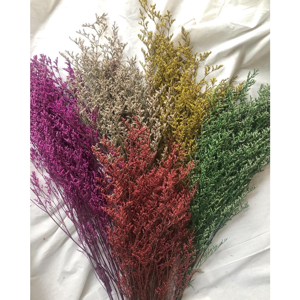 Bó Hoa Đuôi Công thật sấy khô decor