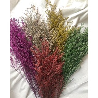 Bó Hoa Đuôi Công thật sấy khô decor