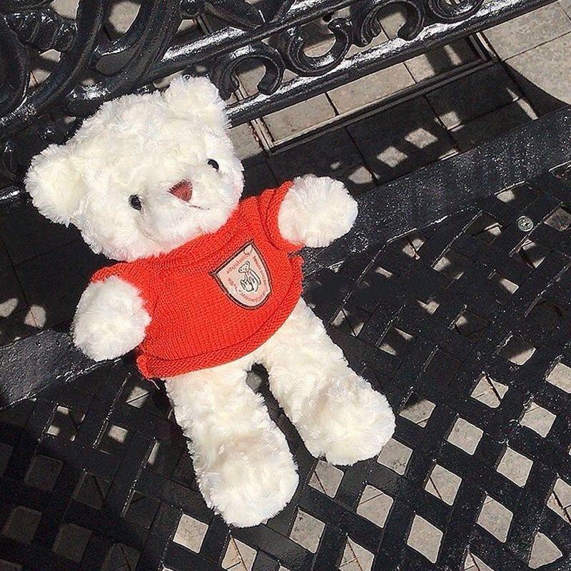 Gấu Teddy Nhồi Bông Mặc Áo Sweater Màu Đỏ Dễ Thương Dùng Làm Quà Tặng Sinh Nhật
