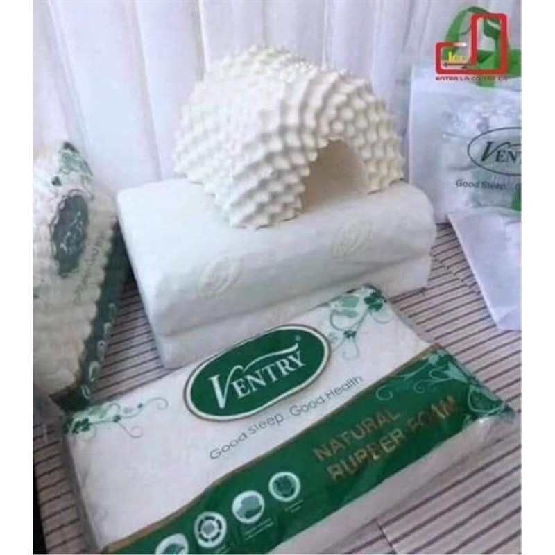 GỐI CAO SU VENTRY THÁI LAN