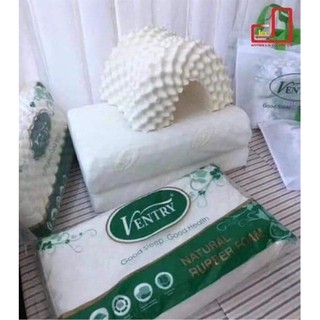 Gối cao su ventry thái lan