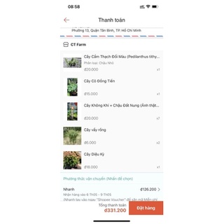 Combo Cây Trồng