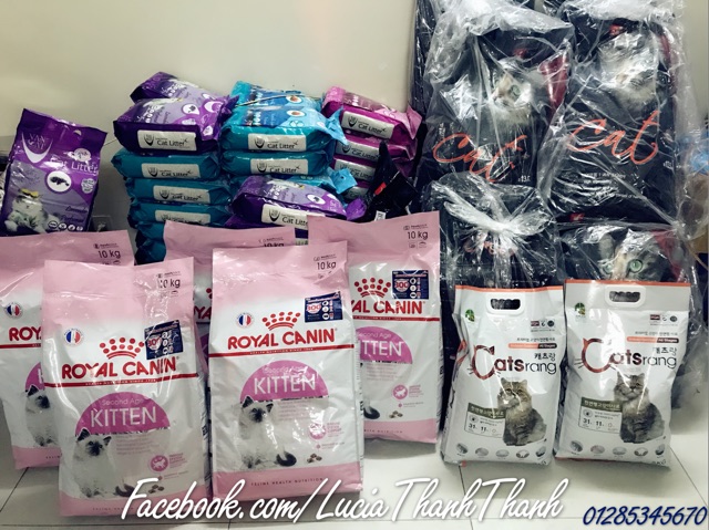 Thức ăn hạt khô cho mèo Royal Canin Kitten 10kg