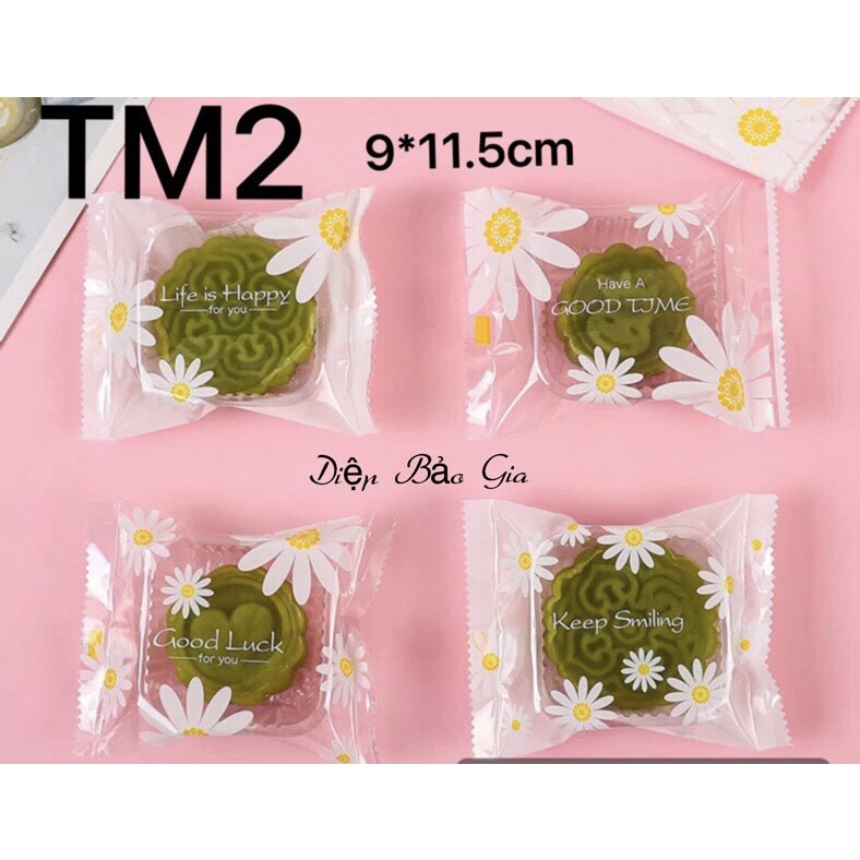 10 bộ khay túi đựng bánh trung thu 50g