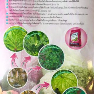 Thuốc diệt rệp lưu dẫn Starkle G Thái Lan 1kg