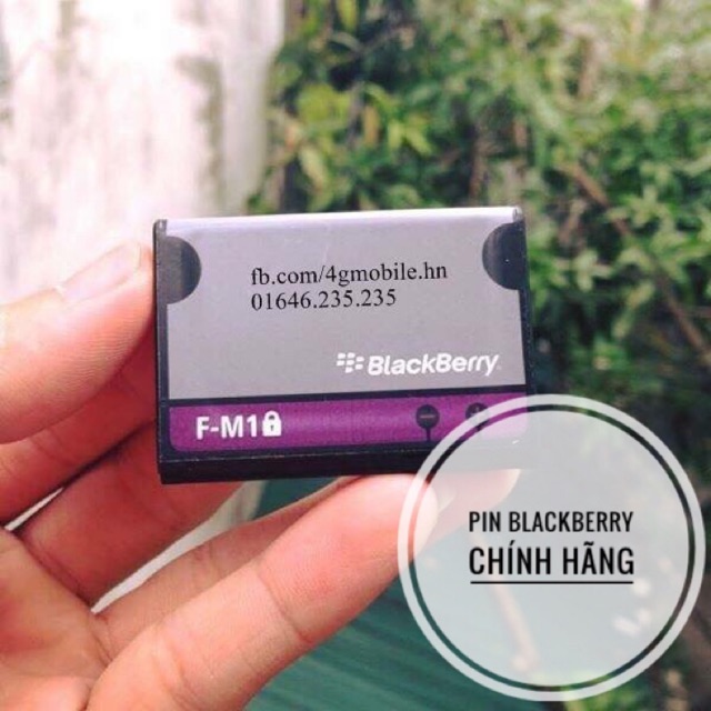 Pin BlackBerry chính hãng: pin BlackBerry 9100, 9105