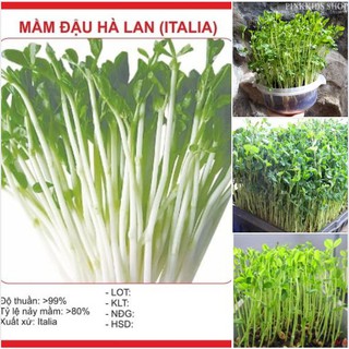 Hạt Giống Rau Mầm Đậu Hà Lan - ( 50 gram )