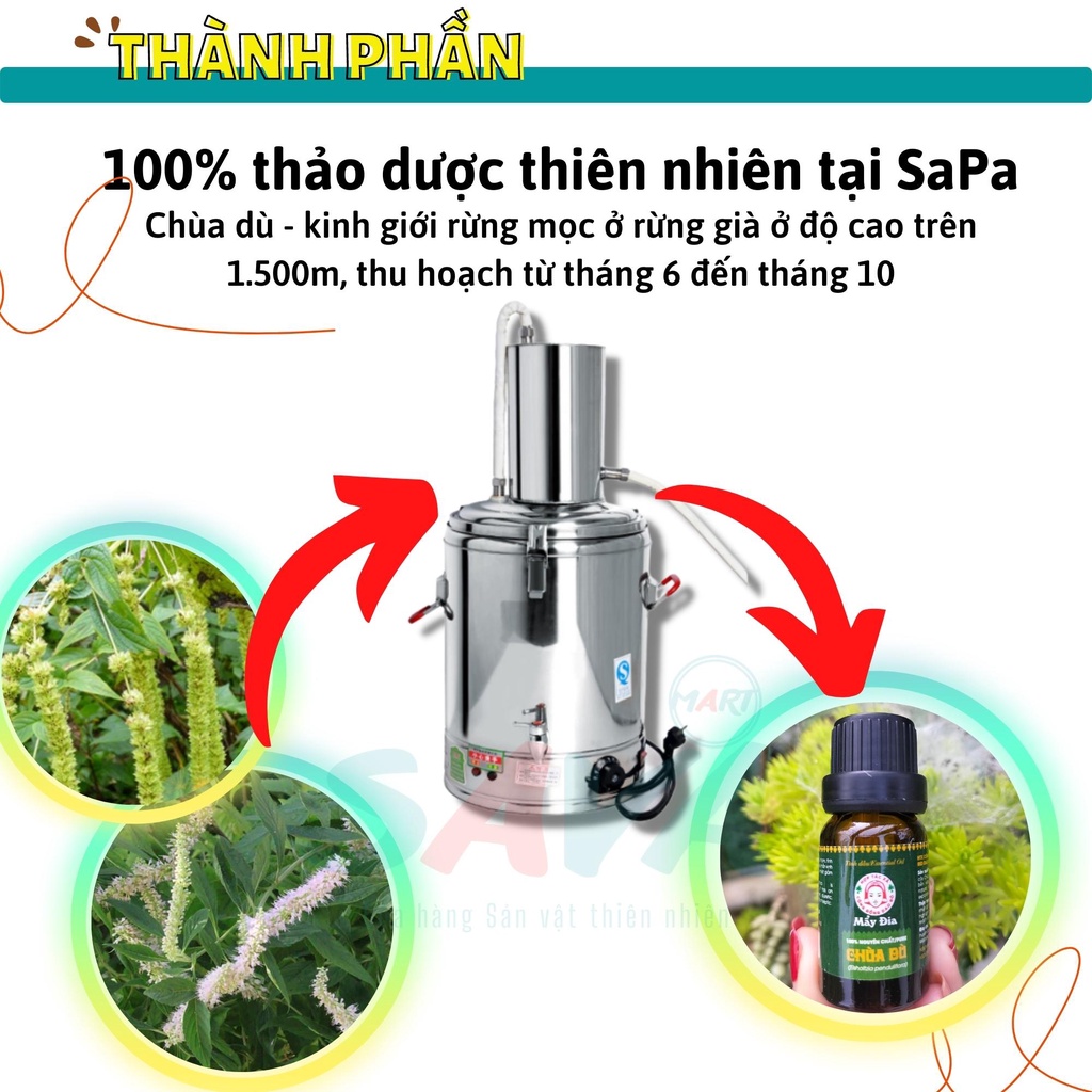 Tinh dầu Chùa Dù phòng cảm cùm 100% tiện dụng gia đình cần có