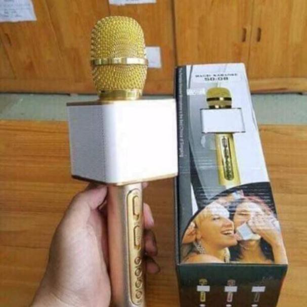 Mic karaoke
