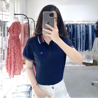 Áo thun Polo thêu