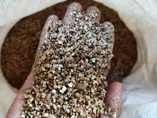 Đá Vermiculite ( Giá thể trồng Sen Đá-Xương Rồng) 100g