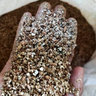 Đá Vermiculite ( Giá thể trồng Sen Đá-Xương Rồng) 500g