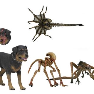 Mô hình Neca Alien 3 Accessory