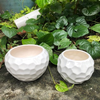 Chậu Sứ Bát Tràng Trồng Cây Cảnh  - Mẫu Tổ Ong