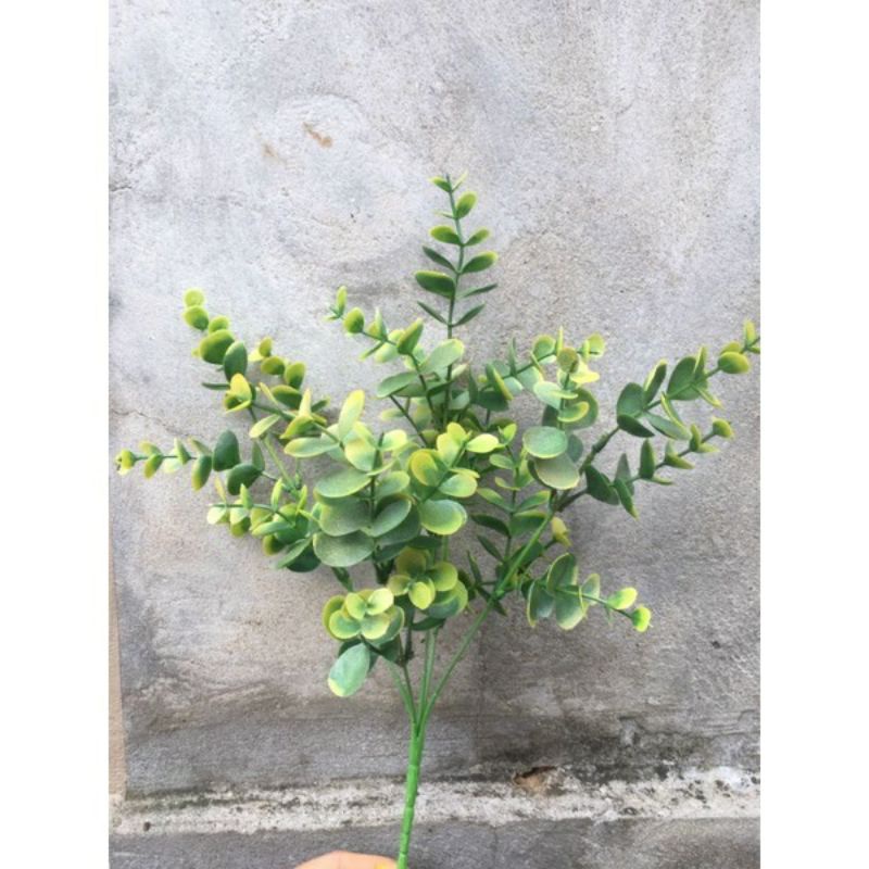 Cụm lá táo ngắn. cụm điểm rong. cụm bạch đàn - cụm điểm giả trang trí bình hoa