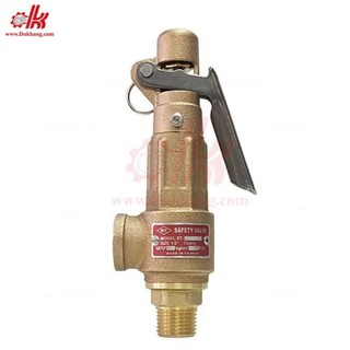 Van an toàn đồng ( khí, nước, dầu, hơi nóng…v.v..)