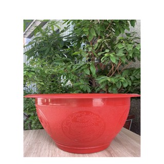 Chậu nhựa truyền thống