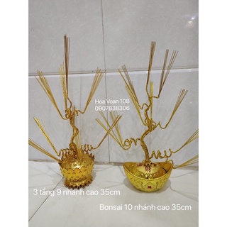 Gốc cây kim tiền( thỏi vàng +gốc)