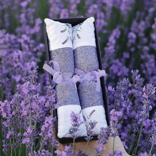 Túi thơm hoa oải hương lavender ( chuẩn, sat giá gốc)