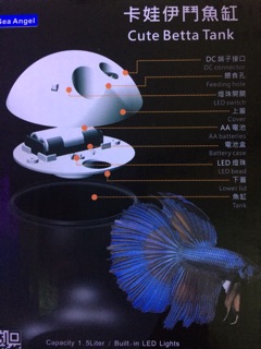 Hồ cá Betta mini