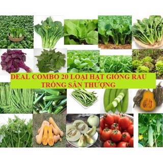 [DEAL] Combo 20 loại hạt giống các loại rau quả trồng sân thượng